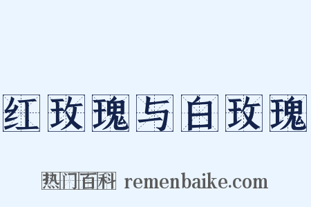 红玫瑰与白玫瑰是什么意思的图片